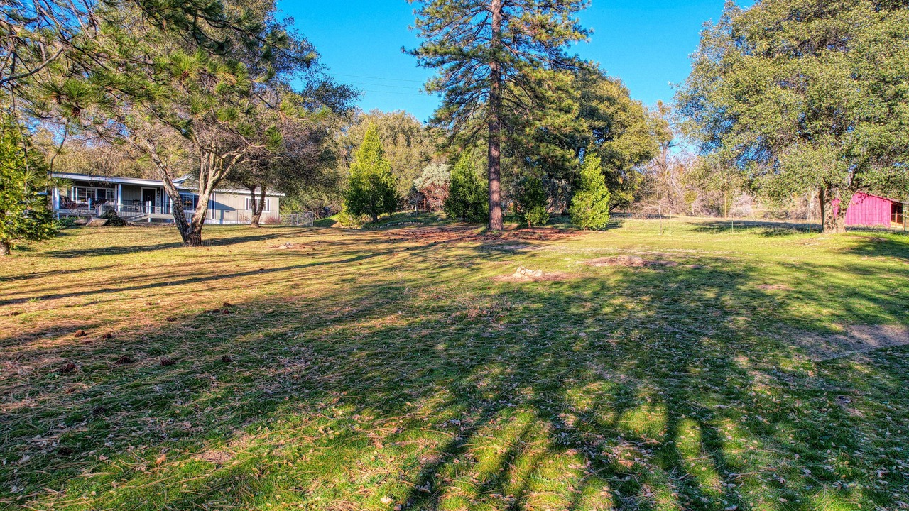 Photo of Outdoor in Wishon