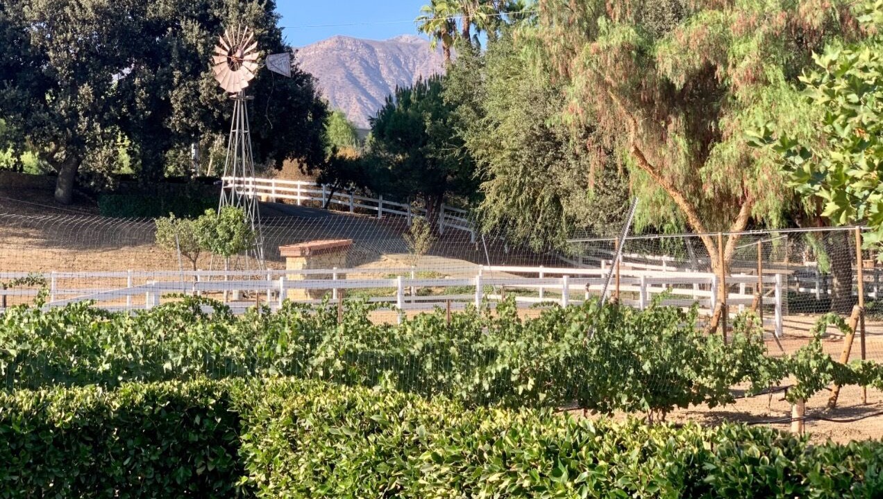 Photo of Outdoor in Ojai