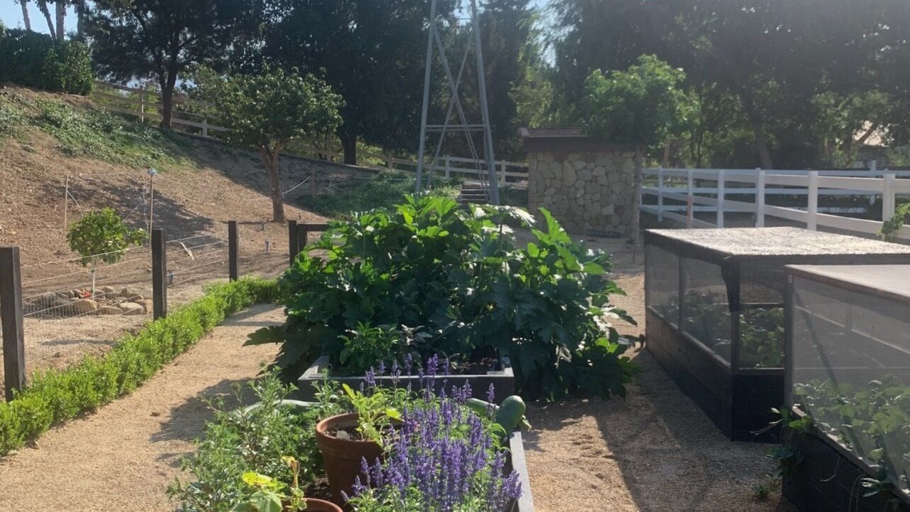 Photo of Outdoor in Ojai