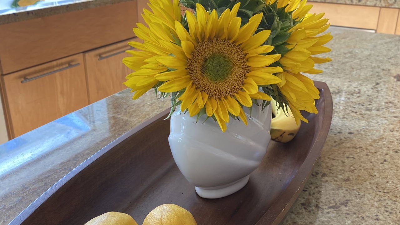 Photo of Kitchen in Del Obispo