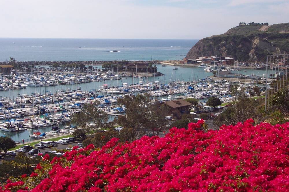 Photo of Others in San Clemente