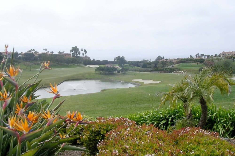 Photo of Others in San Clemente