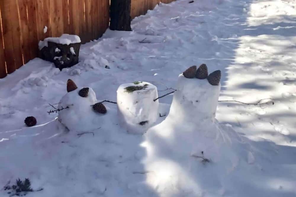 Photo of Others in Big Bear City