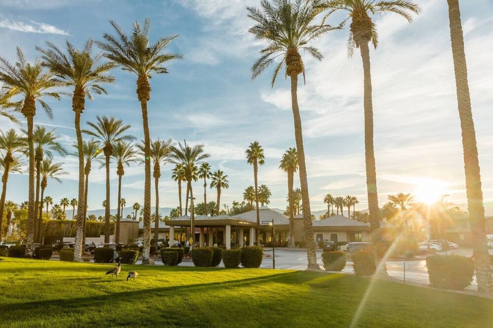 Photo of Others in Palm Desert