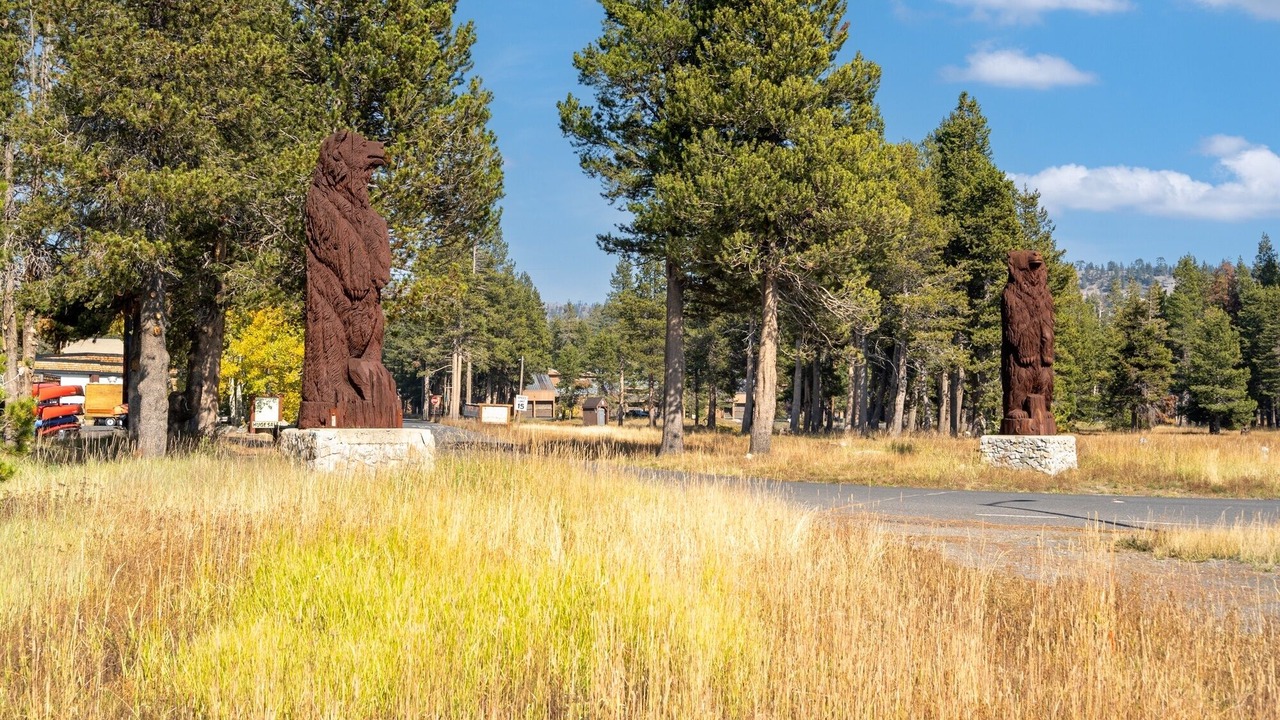 Photo of Others in Bear Valley