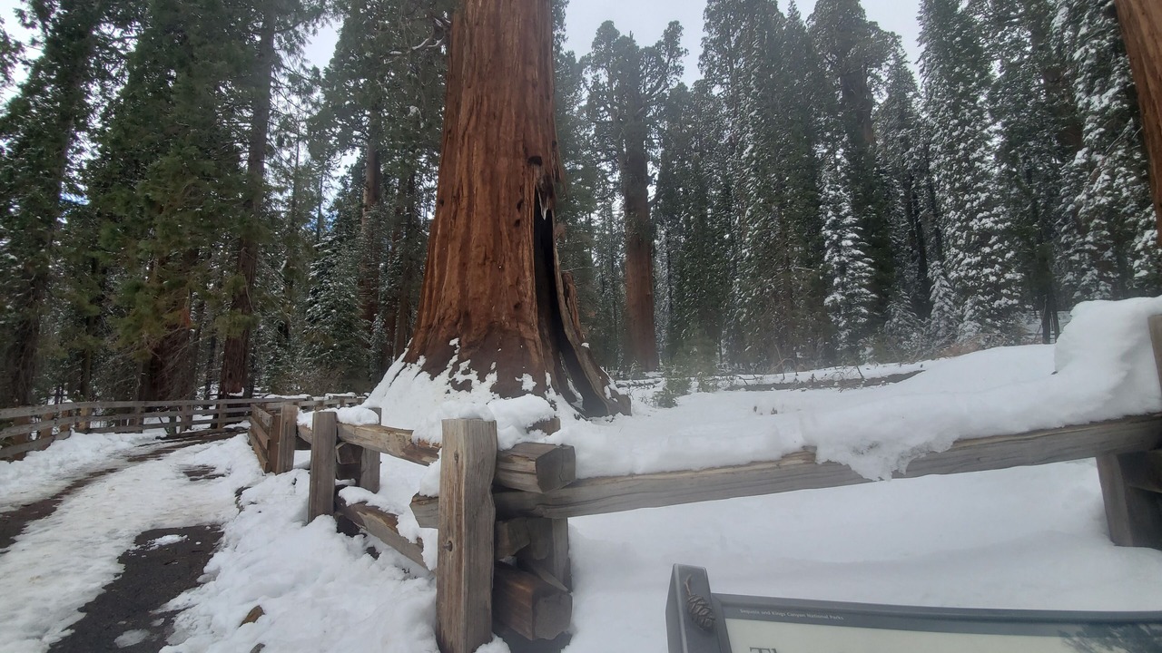 Photo of Outdoor in Porterville