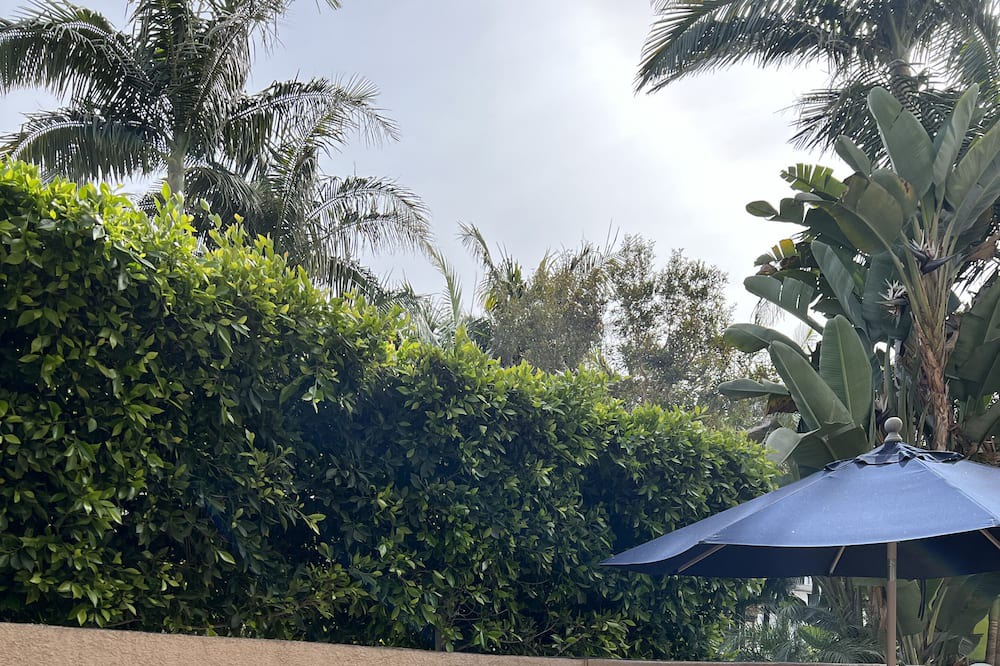 Photo of Patio Balcony in Silver Strand