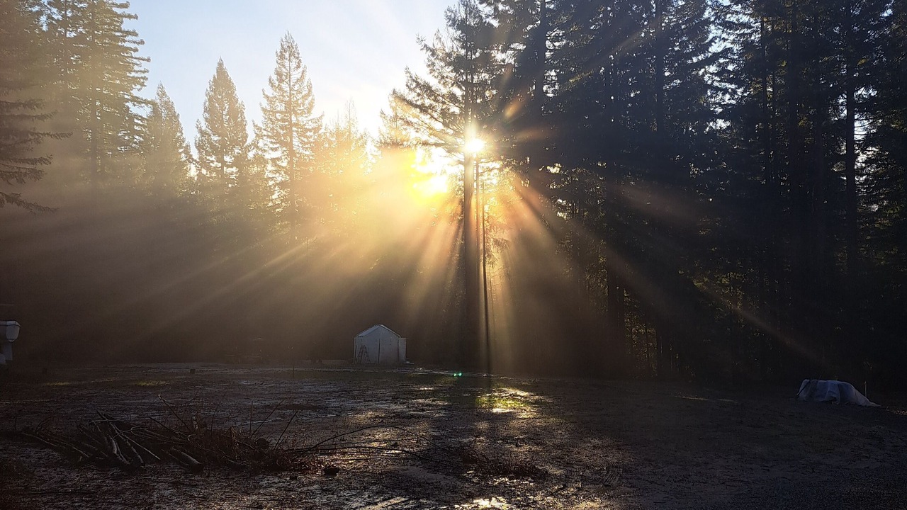 Photo of Outdoor in Fortuna