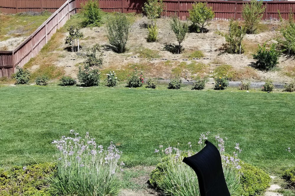 Photo of Outdoor in Beaumont