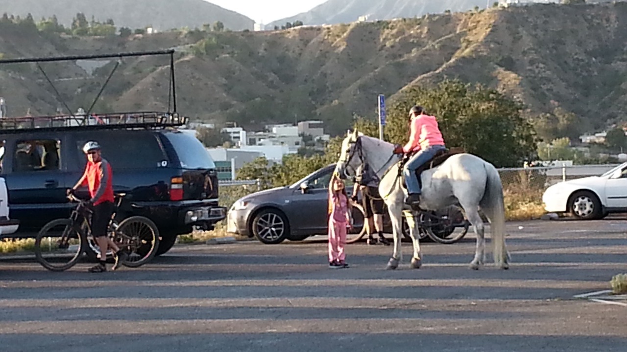 Photo of Others in Eagle Rock
