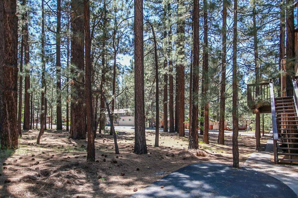 Photo of Outdoor in Summit Estates