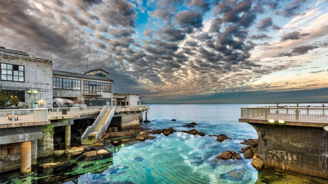 Photo of Outdoor in Pacific Grove