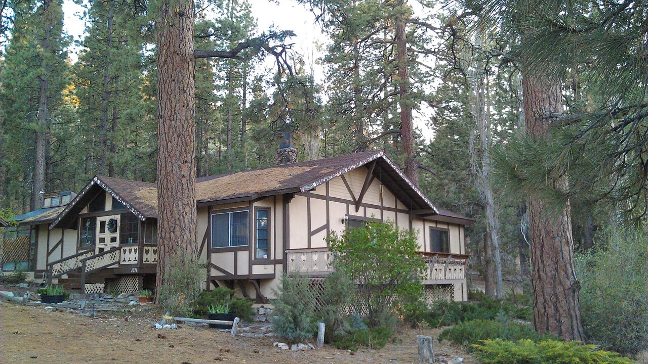 Photo of Outdoor in Woodlands