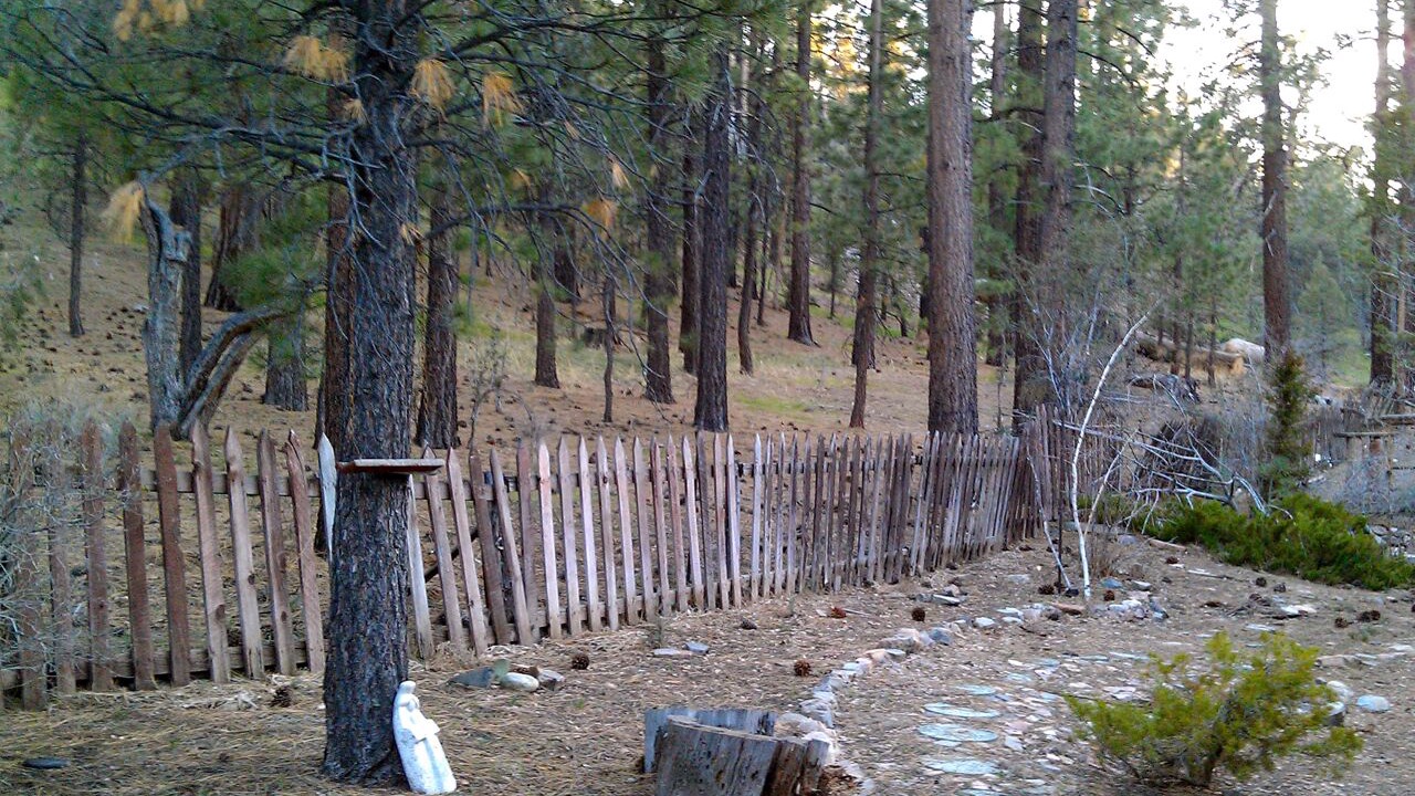 Photo of Outdoor in Woodlands