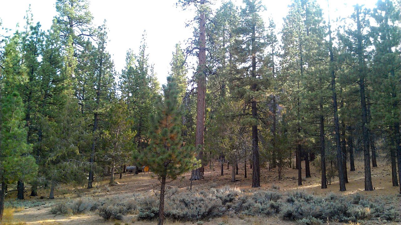 Photo of Outdoor in Woodlands