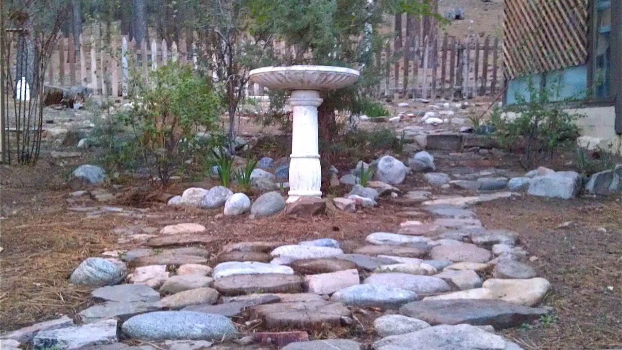 Photo of Outdoor in Woodlands