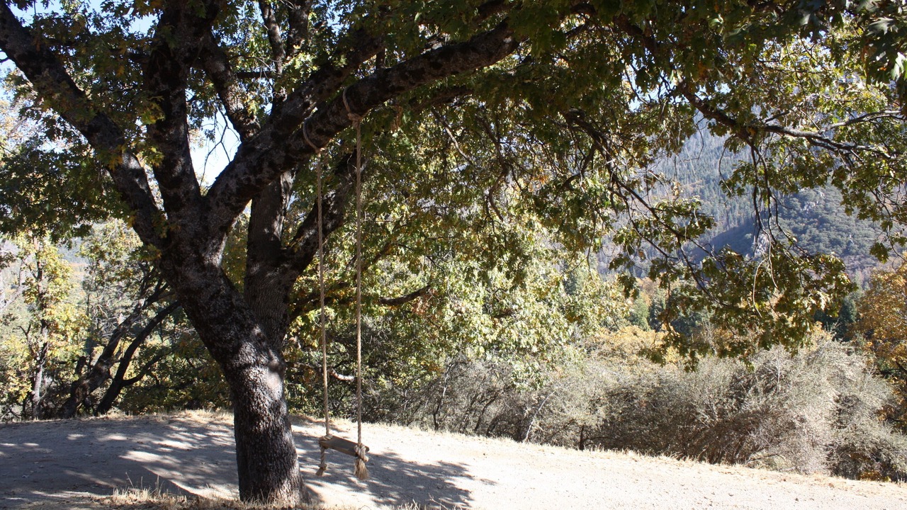 Photo of Outdoor in Springville