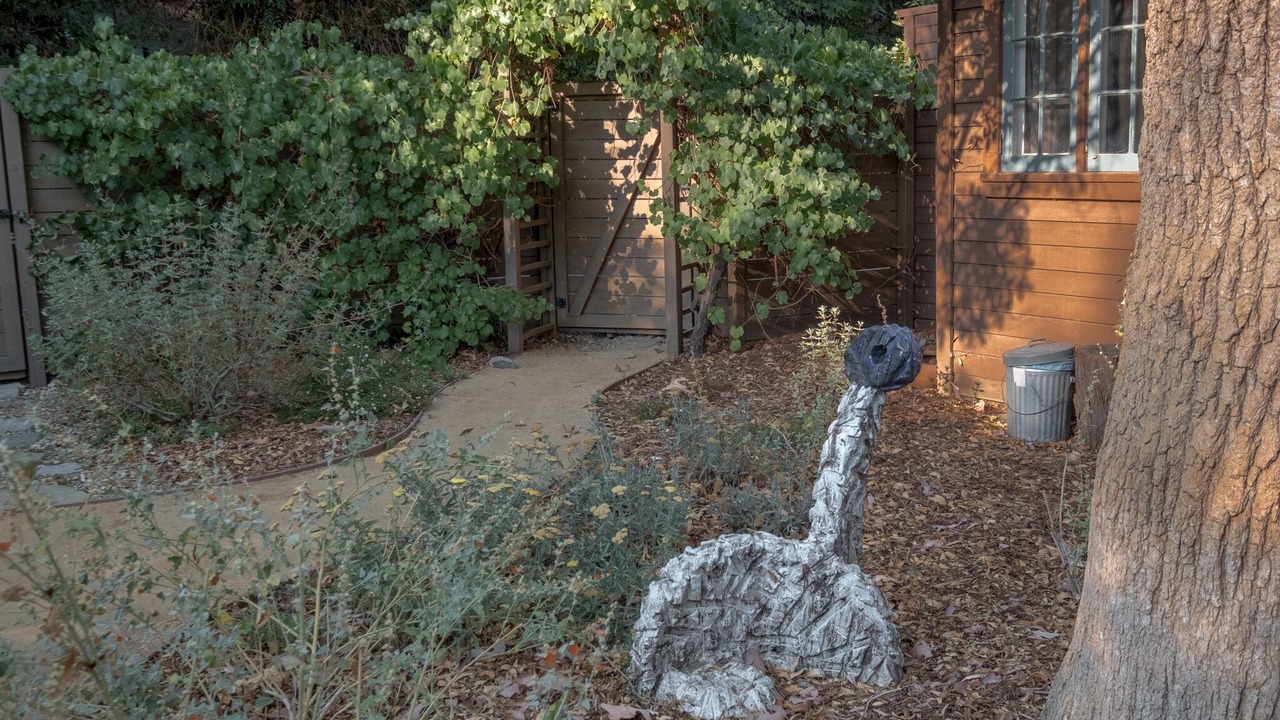 Photo of Outdoor in Altadena