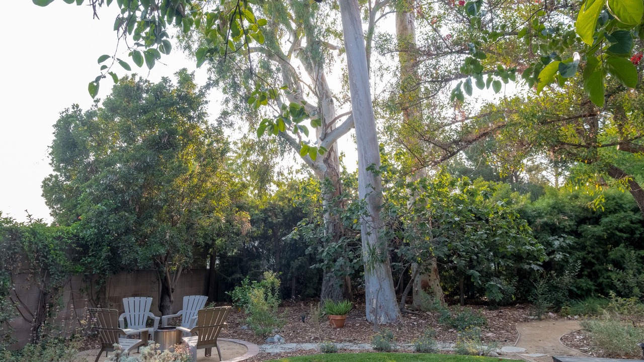 Photo of Outdoor in Altadena