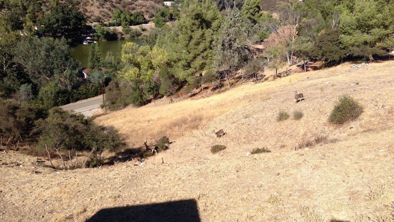 Photo of Outdoor in Agoura Hills