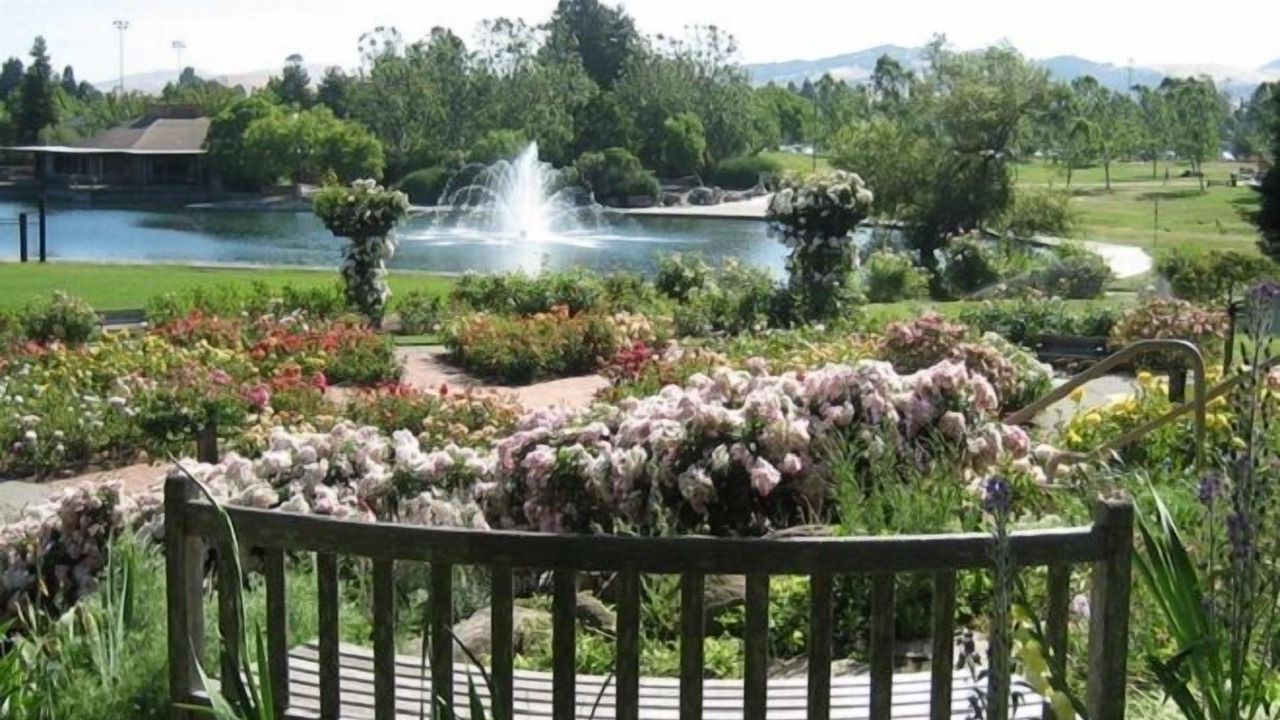Photo of Others in Walnut Creek
