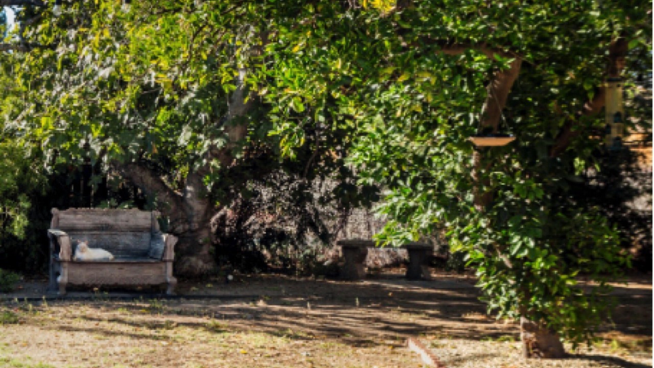 Photo of Outdoor in Encino