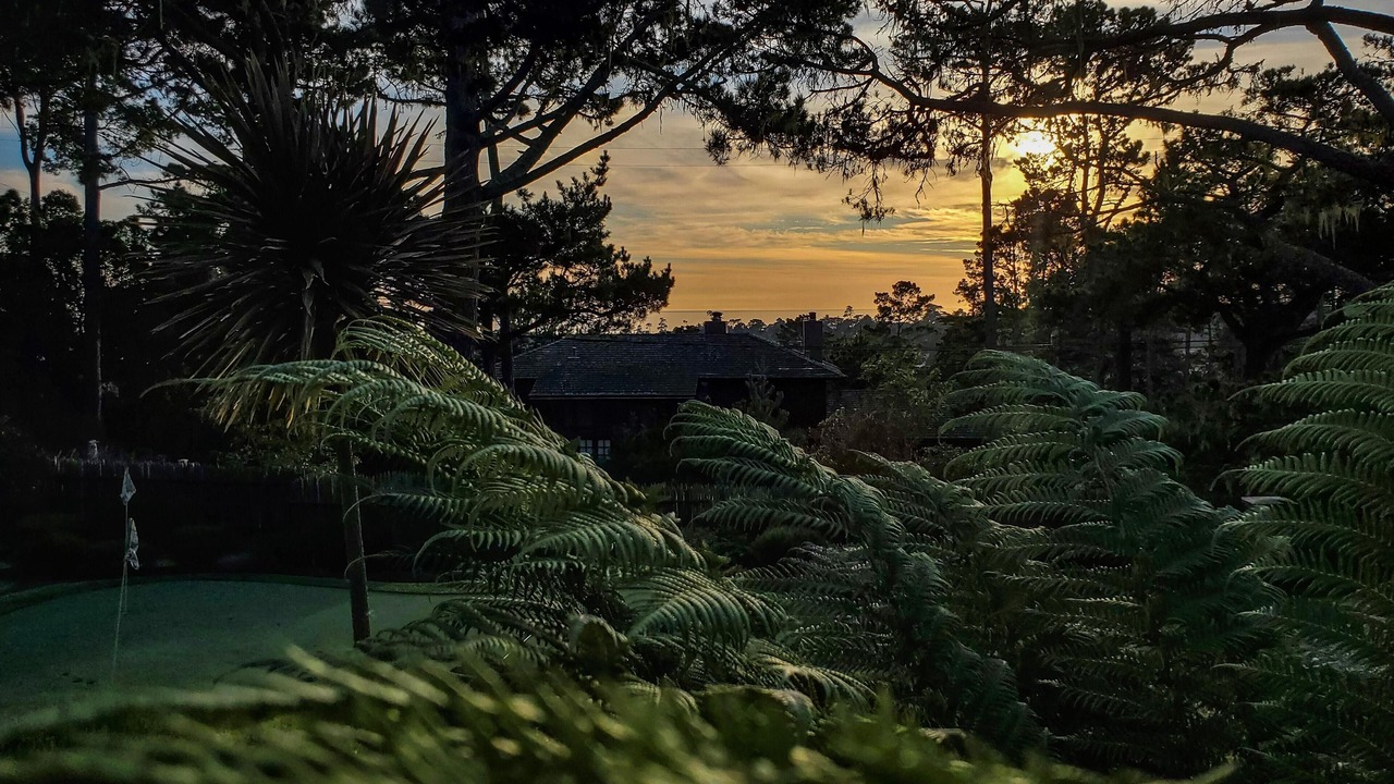 Photo of Others in Pebble Beach