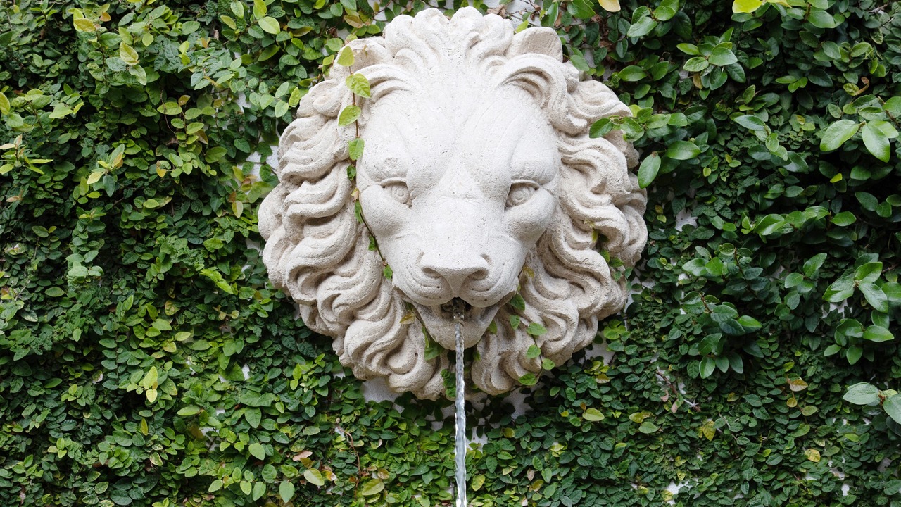Photo of Outdoor in Hollywood