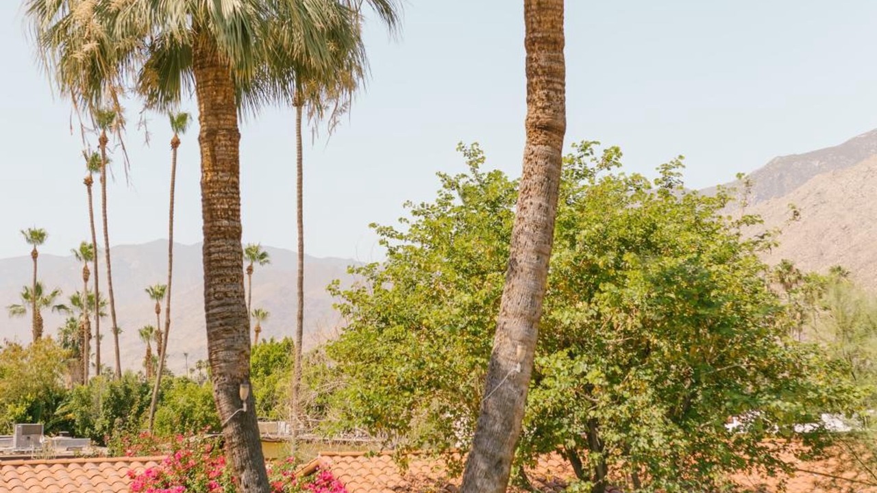 Photo of Outdoor in Warm Sands