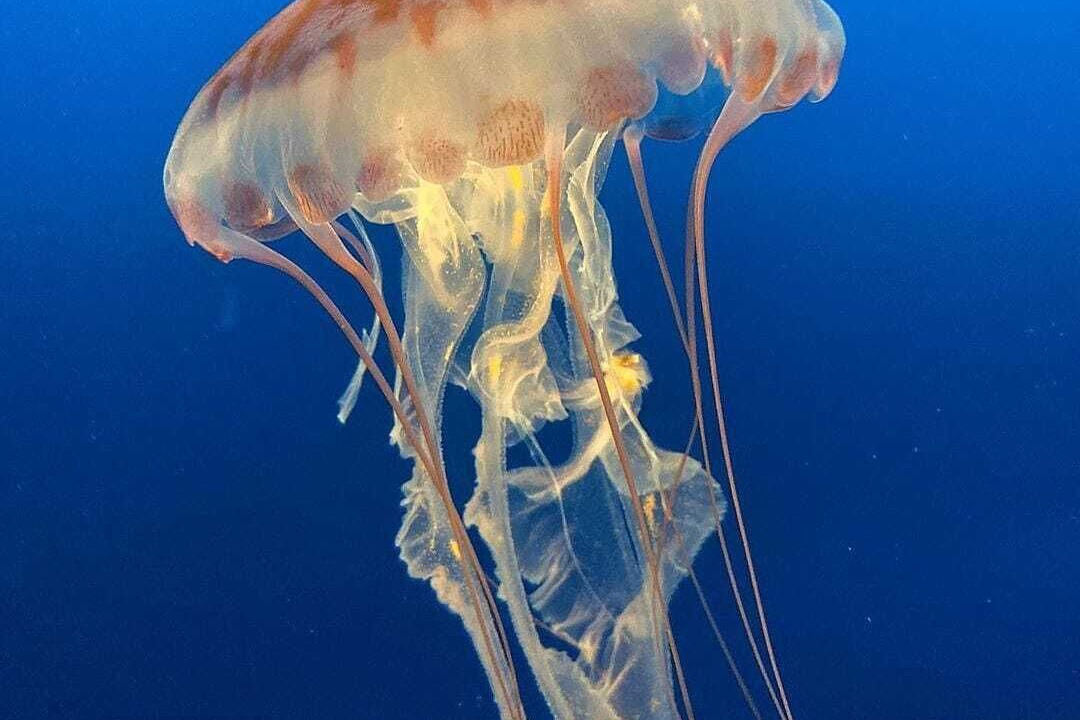 Photo of Others in Harbor