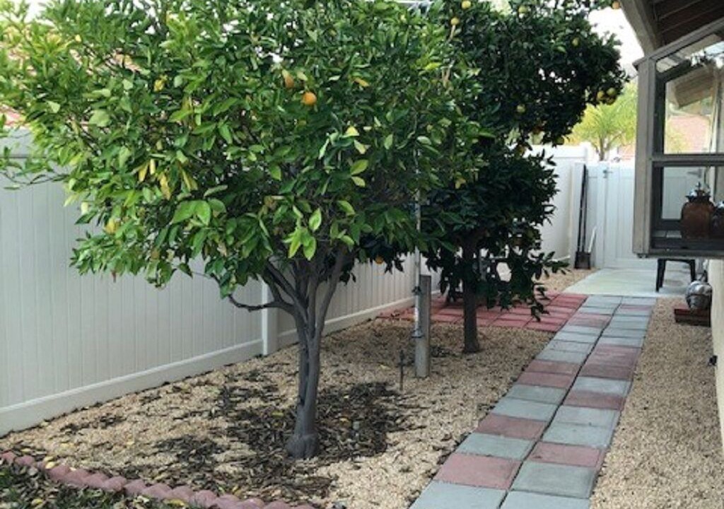 Photo of Outdoor in Sun City