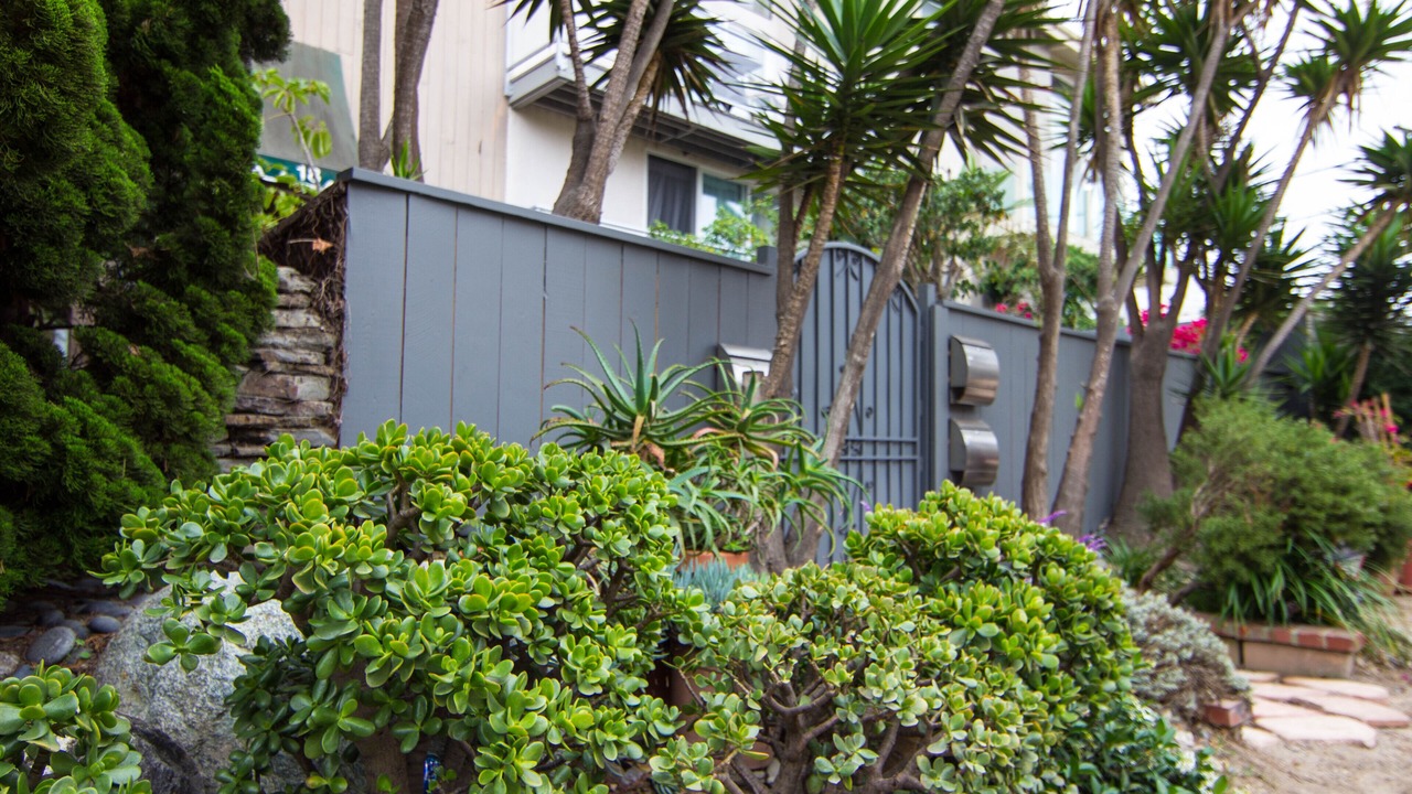 Photo of Outdoor in Marina Peninsula