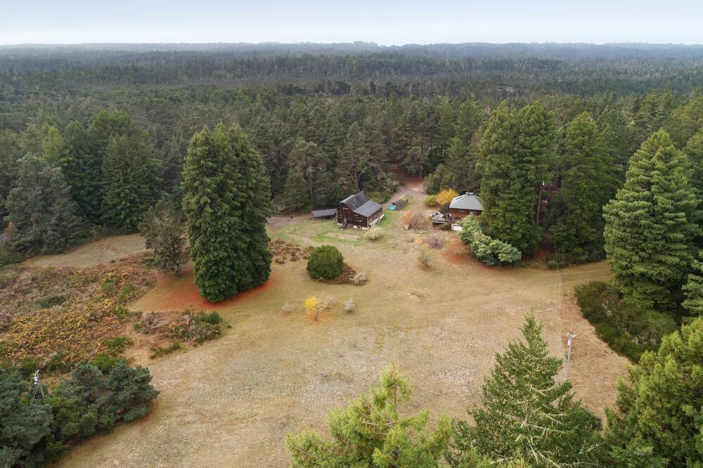 Photo of Others in Fort Bragg
