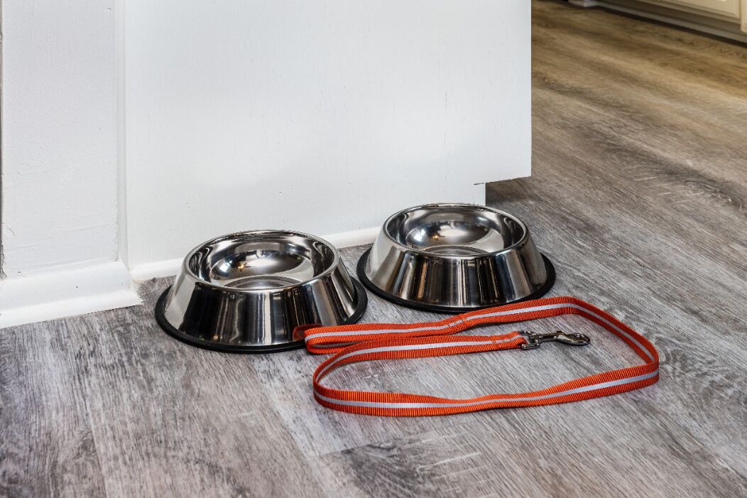 Photo of Kitchen in Arcadia