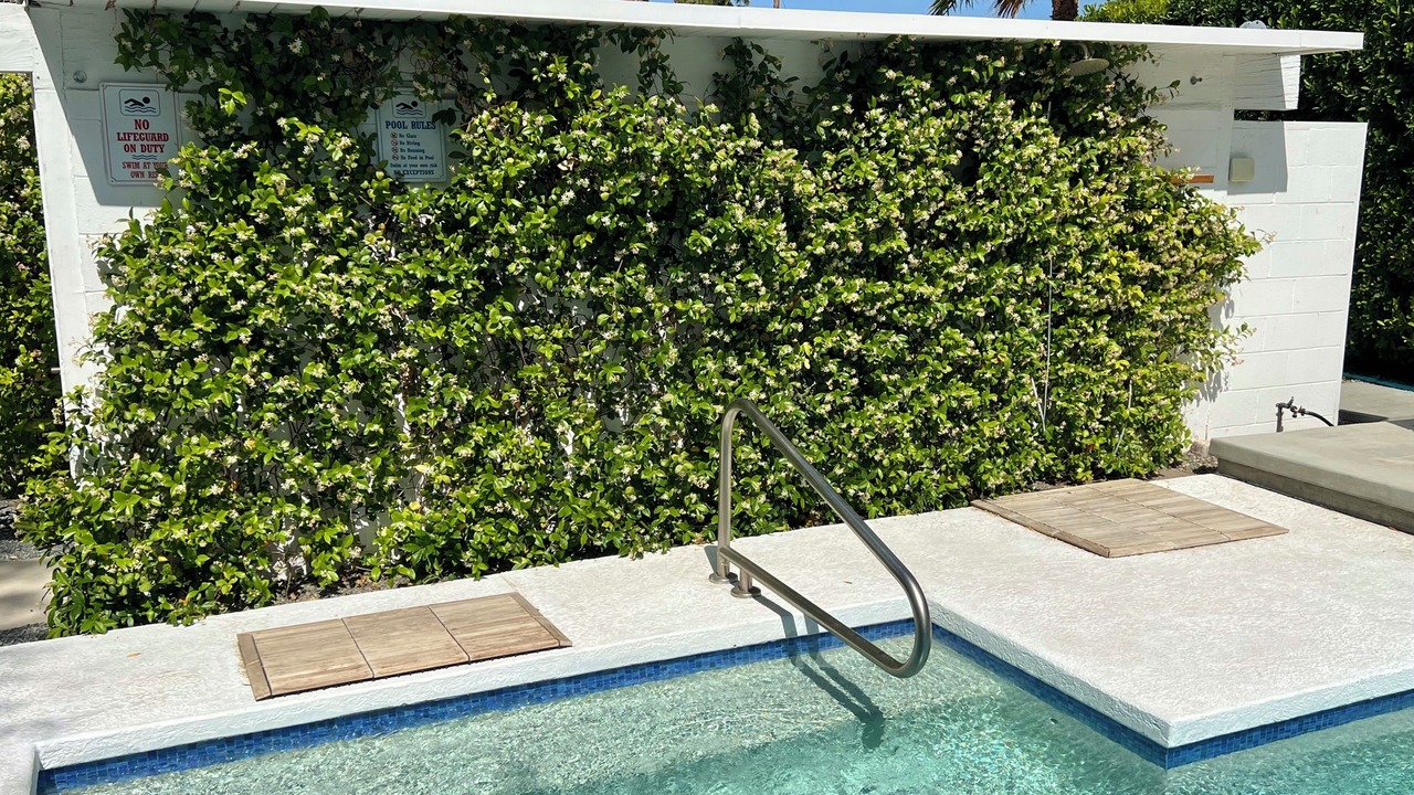 Photo of Outdoor in Racquet Club Estates
