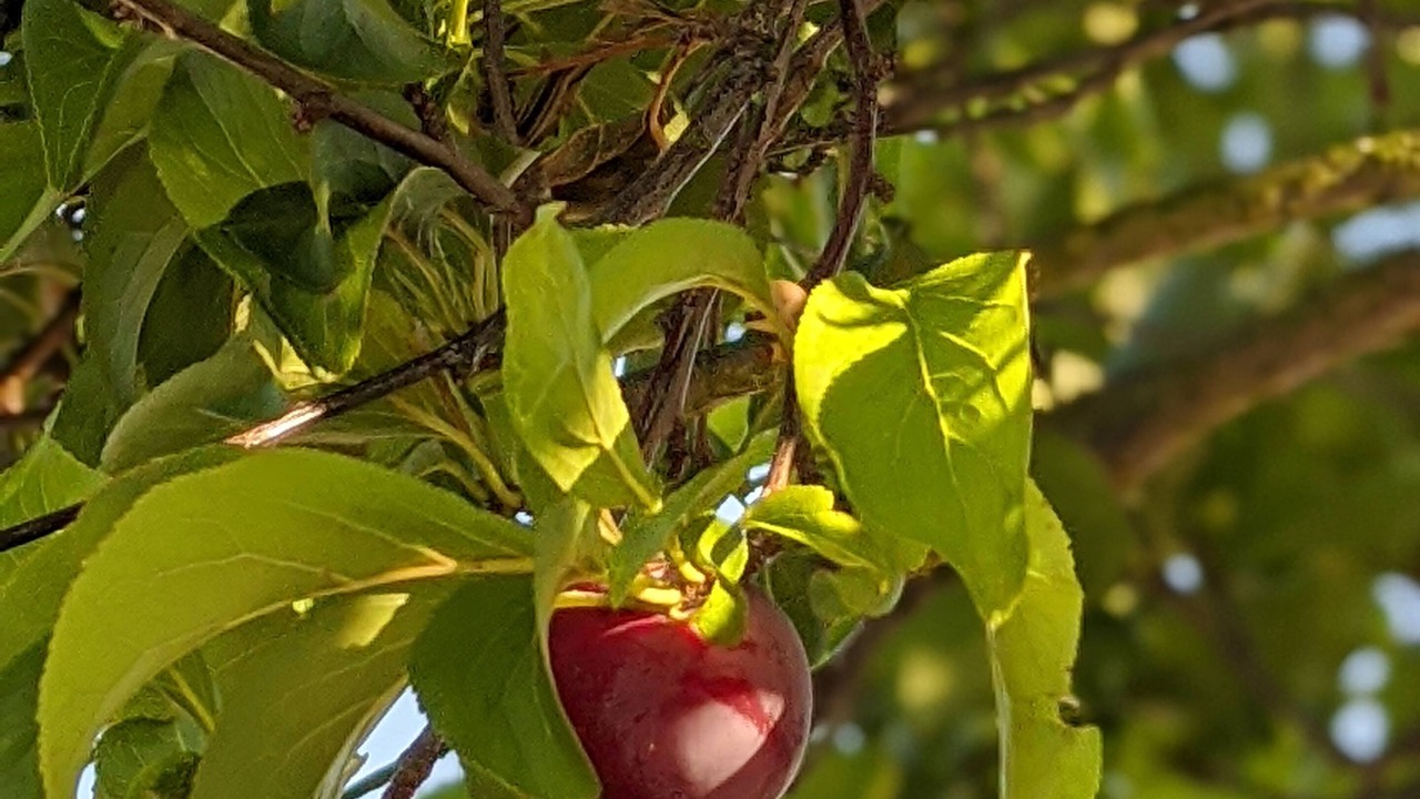 Photo of Outdoor in May Valley