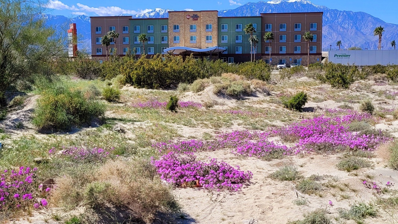 Photo of Outdoor in Cathedral City
