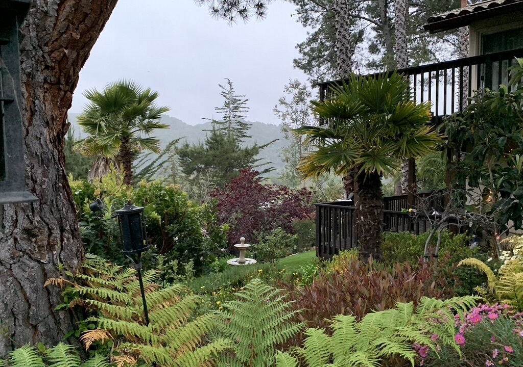 Photo of Outdoor in Carmel
