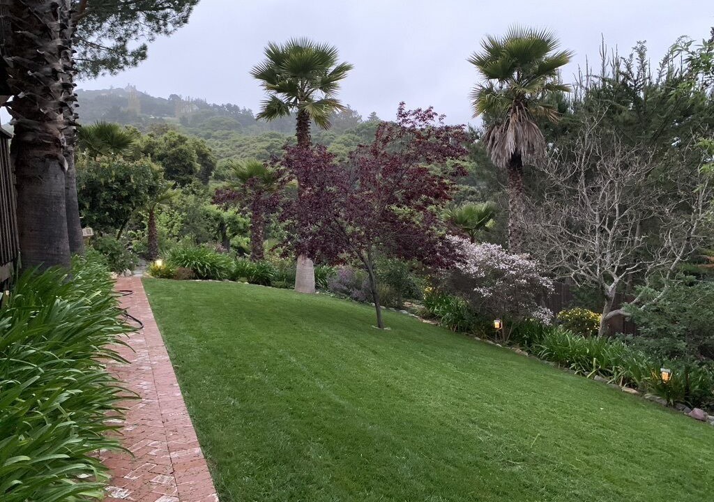 Photo of Outdoor in Carmel