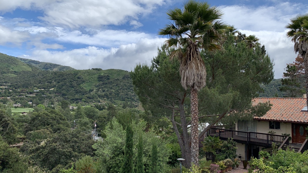 Photo of Outdoor in Carmel