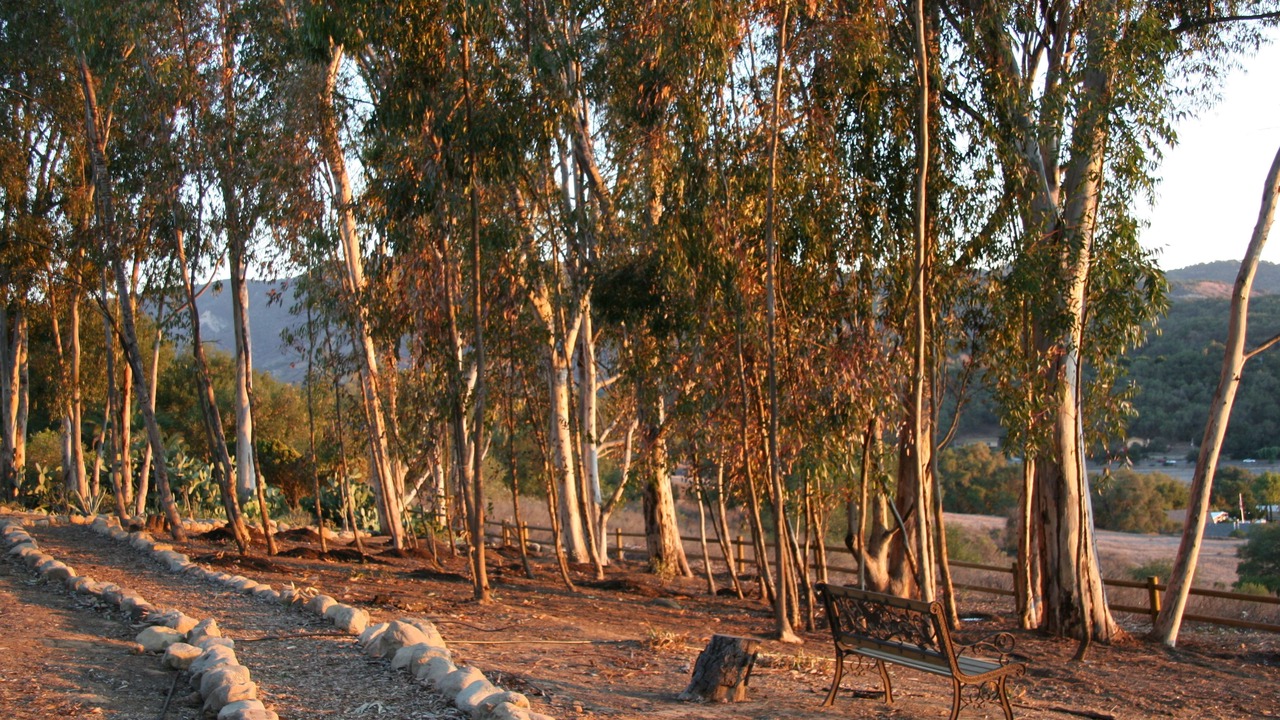 Photo of Outdoor in Ojai