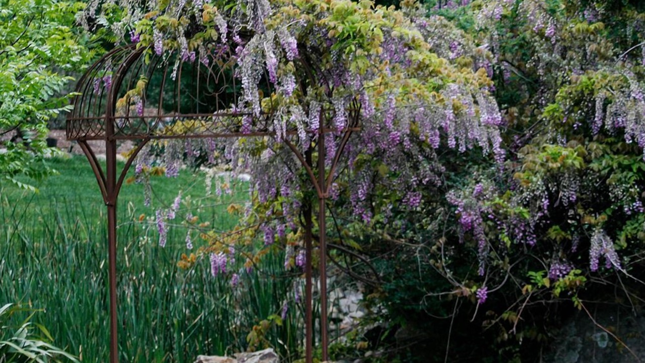 Photo of Outdoor in Placerville