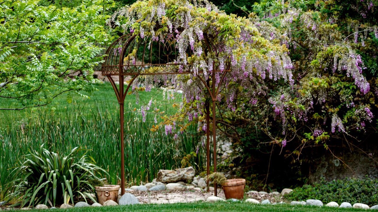 Photo of Outdoor in Placerville
