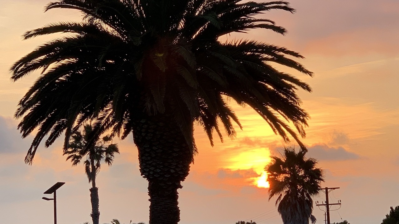 Photo of Outdoor in Inglewood