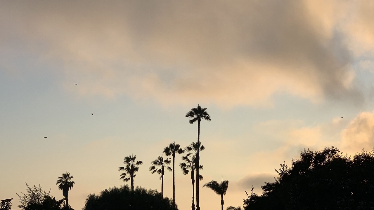 Photo of Outdoor in Inglewood