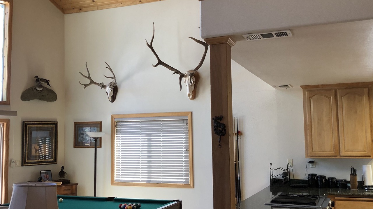 Photo of Bedroom in Markleeville