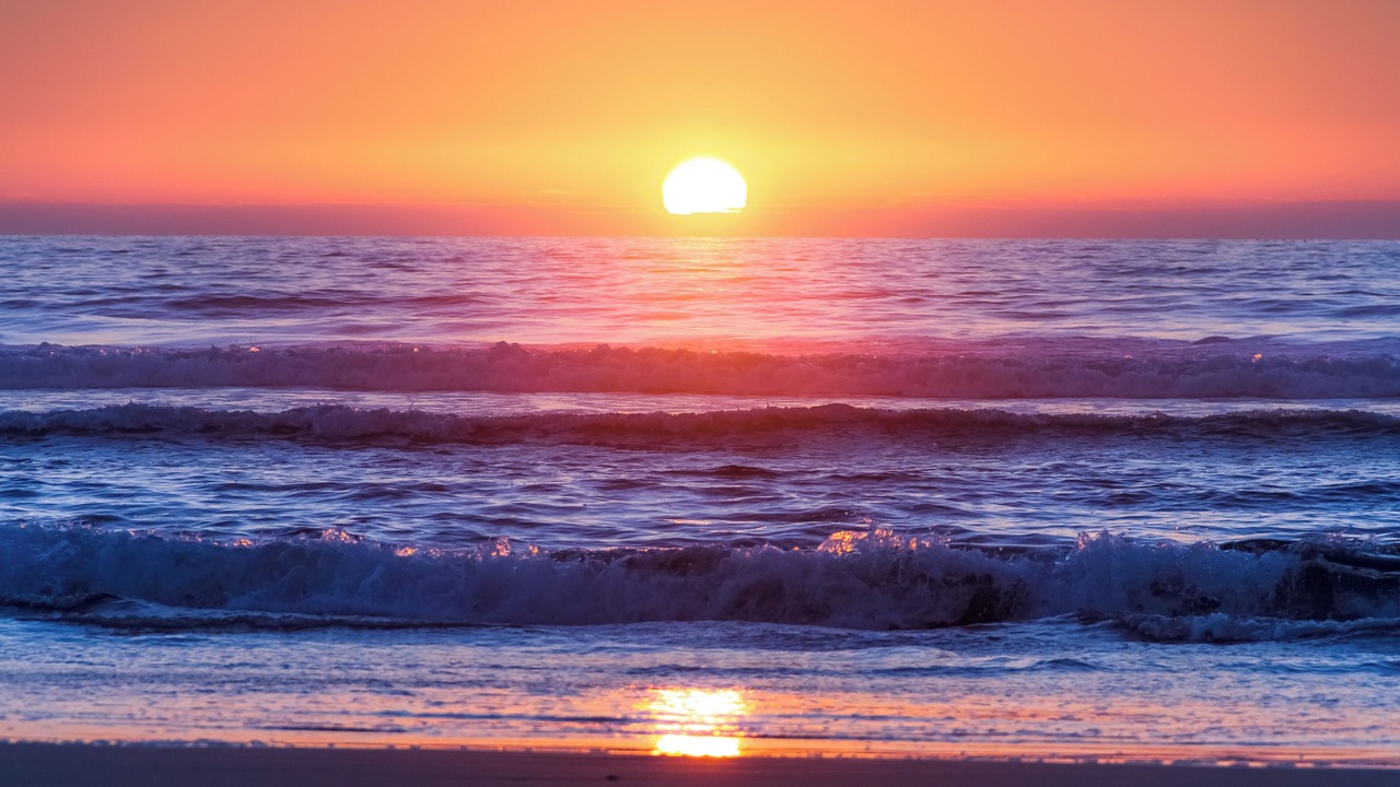 Photo of Others in Del Mar