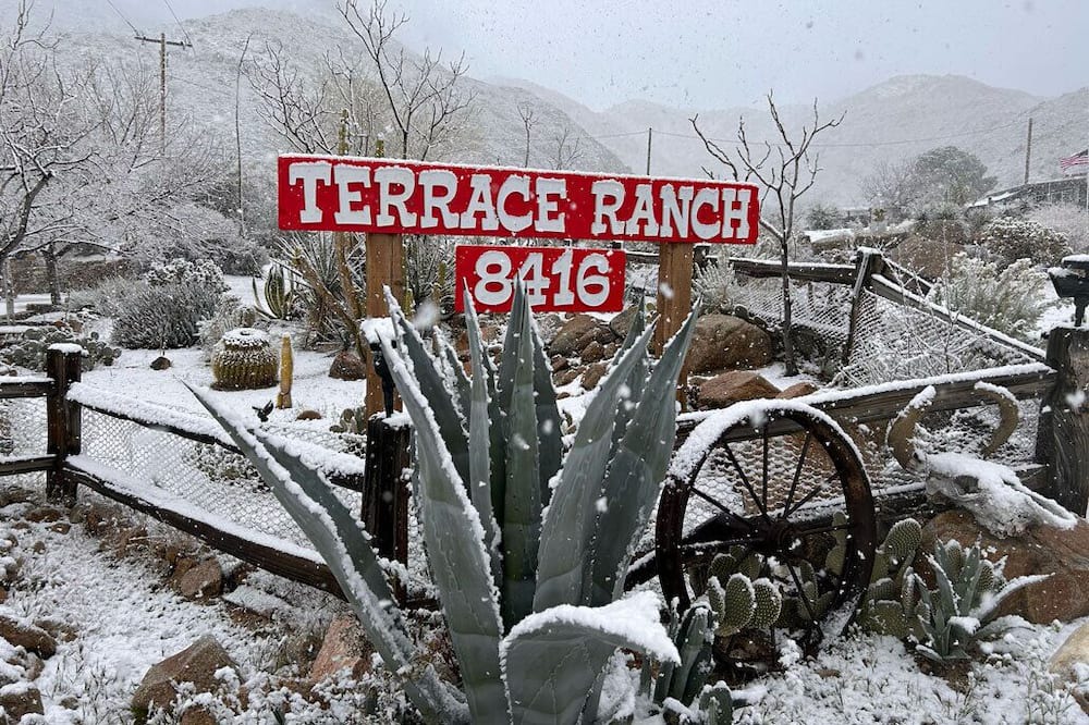 Photo of Others in Morongo Valley