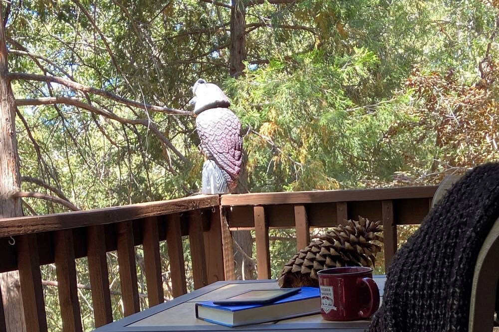 Photo of Patio Balcony in Idyllwild