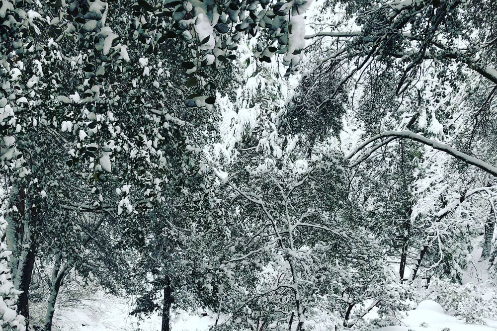 Photo of Others in Idyllwild
